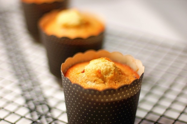 香浓蔓越莓椰蓉马芬