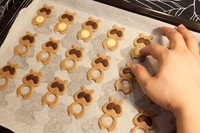 Step 14