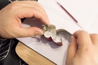 Step 5