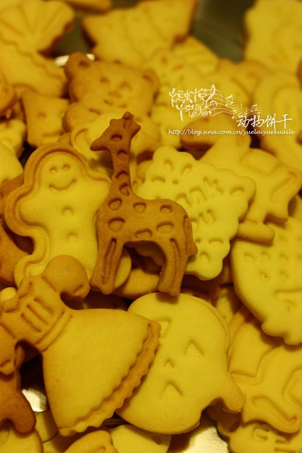 动物饼干