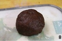 Step 8