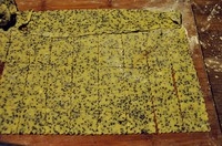Step 6