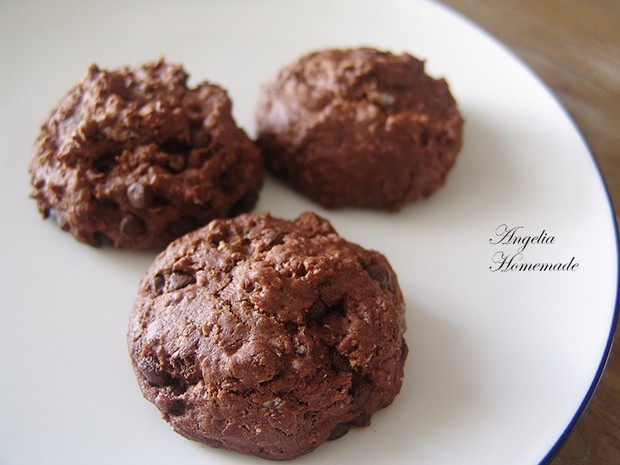 纯素巧克力豆燕麦曲奇