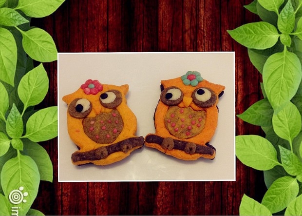 菠萝果酱夹心牛油曲奇萌猫〜 猫头鹰