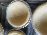 Step 13