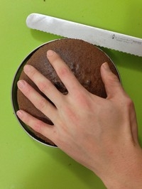 Step 10