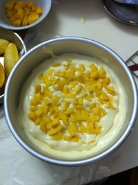 Step 6