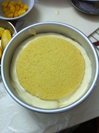 Step 7