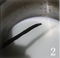 Step 2