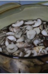 Step 6