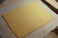 Step 19