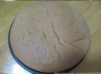 Step 13