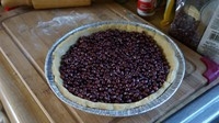 Step 7
