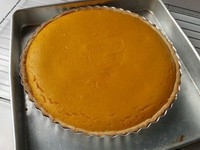 Step 26