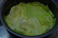 Step 7