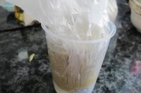 Step 7
