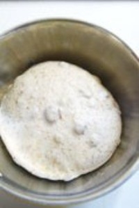 Step 7