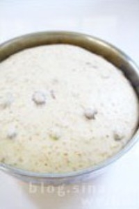 Step 8