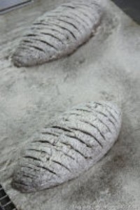 Step 7