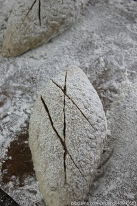 Step 5