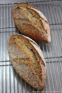 Step 6
