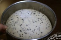 Step 5