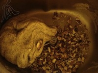 Step 6