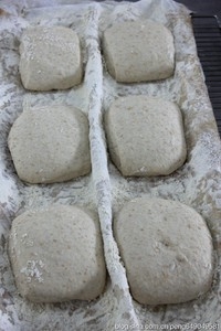 Step 5
