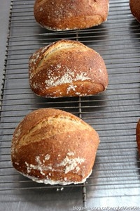 Step 7