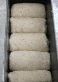 Step 5