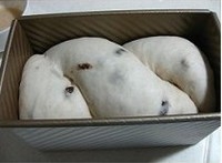 Step 7