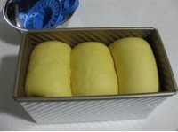 Step 8