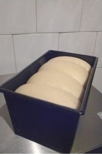 Step 12
