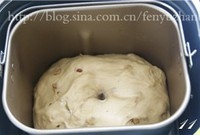 Step 11