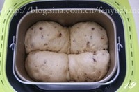 Step 19