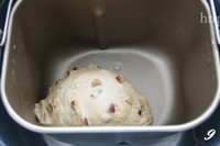 Step 9