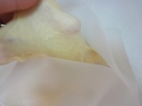 Step 15