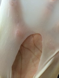 Step 6