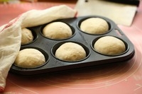 Step 12