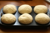 Step 13