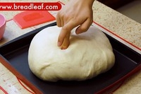 Step 5