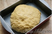 Step 11