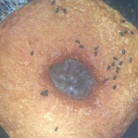 Step 6