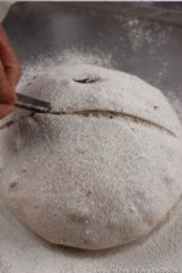 Step 5