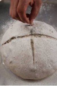 Step 6