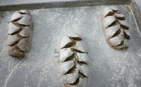 Step 7