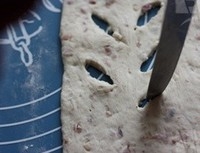 Step 21