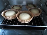 Step 11