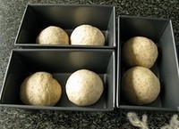 Step 7