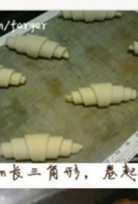 Step 11
